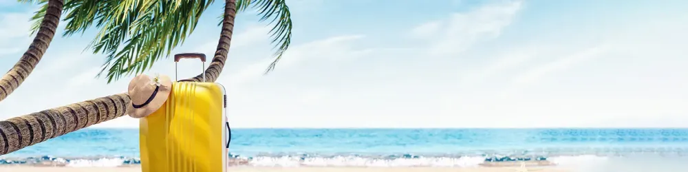 Suitcase with hat on the handle, sitting on a beach under a palm tree